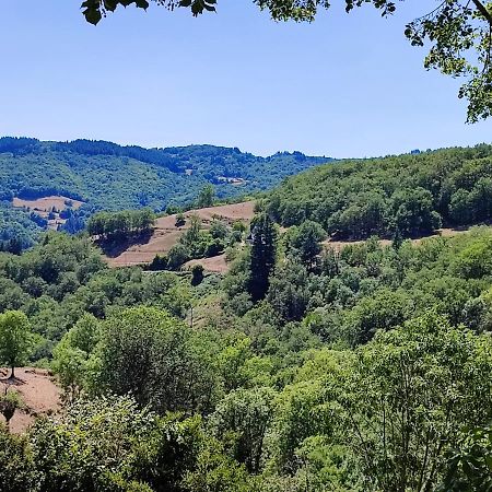 Maison Charmante A Florentin La Capelle Avec Jardin Et Vue Montagne المظهر الخارجي الصورة